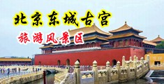 日韩性交高潮中国北京-东城古宫旅游风景区